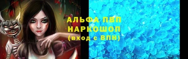 СК Аркадак