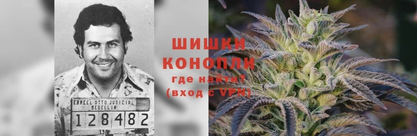 СК Аркадак