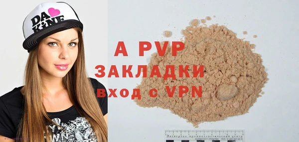 СК Аркадак